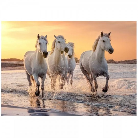 Puzzle 500 pcs XL Chevaux en Camargue - Calypto Calypto - 4