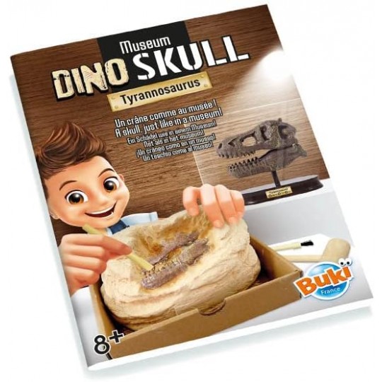 T-Rex Museum Skull - Buki Buki France - 5