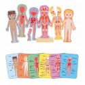 Puzzle magnétique Le Corps Humain 68 pcs - Hape Hape - 1 Puzzle magnétique Le Corps Humain 68 pcs - Hape Hape - 1