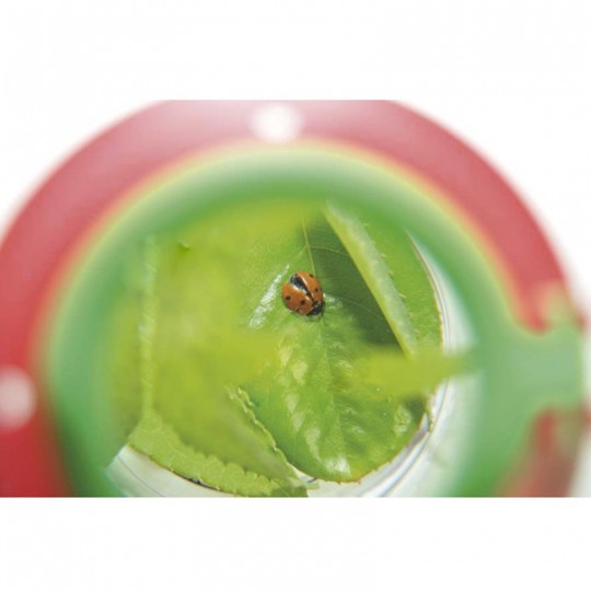 Boîte loupe - Goki Goki - 3
