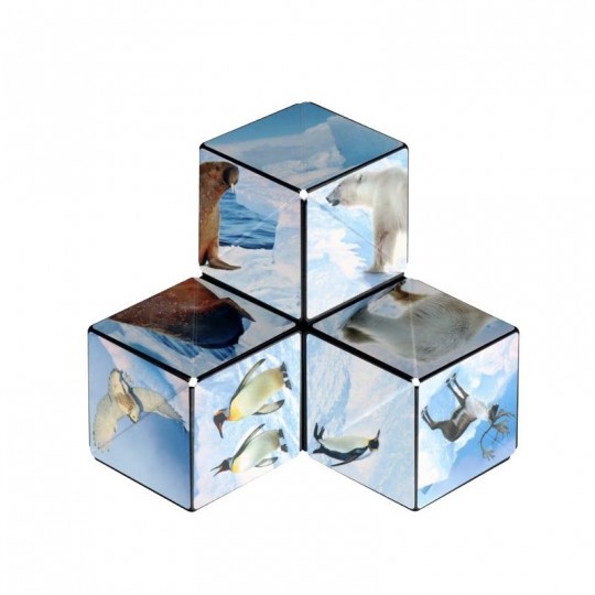 Shashibo Arctic Fun In Motion Toys - 2