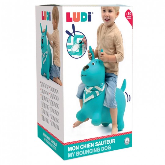 Mon chien sauteur bleu - Ludi LUDI - 2