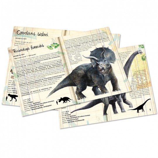 Coffret de 3 puzzles dinosaures avec posters : Muséum national d'Histoire naturelle - Vilac Vilac - 4