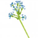 La Fa'Brique à Fleurs : Myosotis 118 pcs - JAKI Jaki - 2 La Fa'Brique à Fleurs : Myosotis 118 pcs - JAKI Jaki - 2