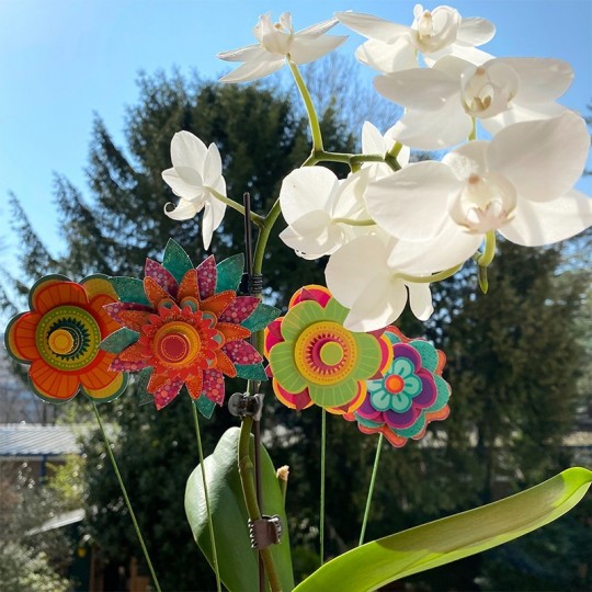 Art & Créations Premier Bouquet - Sentosphère SentoSphère - 3