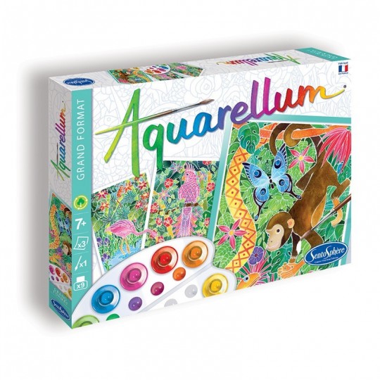 Aquarellum Grand Format - Amazone SentoSphère - 1