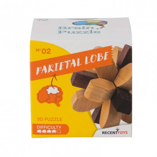 Brain puzzle N°2 Lobe Parietal - Recent Toys Recent toys - 1