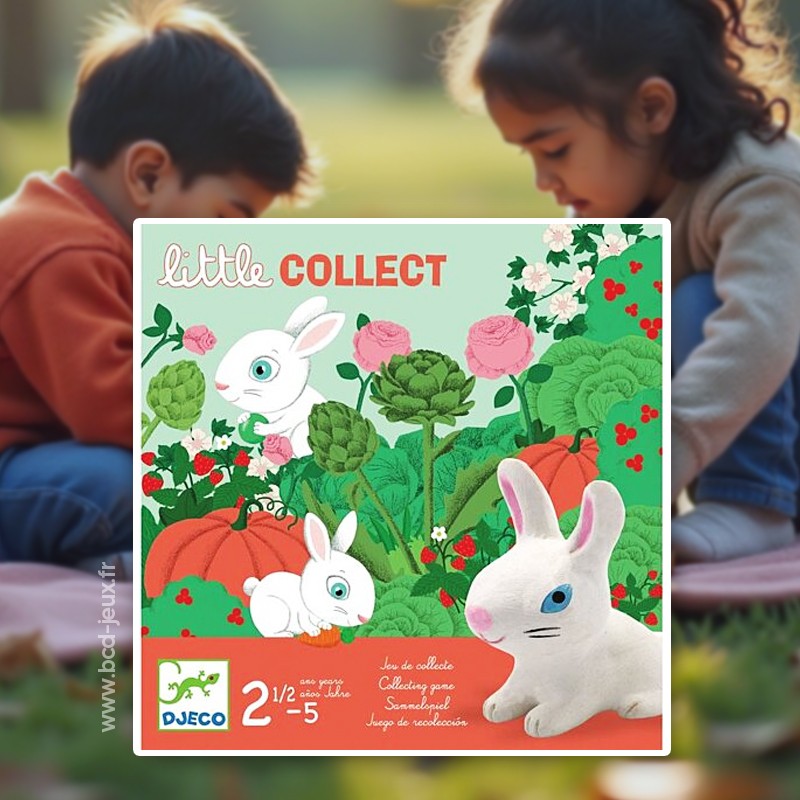 Little Collect Djeco