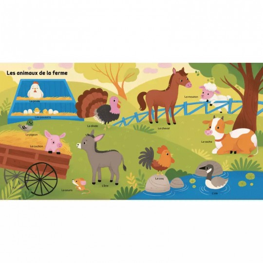 Livre Mes 100 mots pour découvrir les animaux - Auzou Auzou - 2