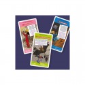 Jeu des 7 familles Les grottes La Petite Boite Edition - 2 Jeu des 7 familles Les grottes La Petite Boite Edition - 2
