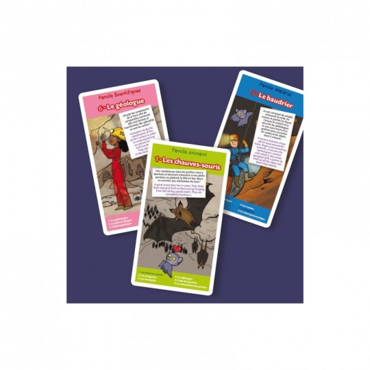 Jeu des 7 familles Les grottes La Petite Boite Edition - 2