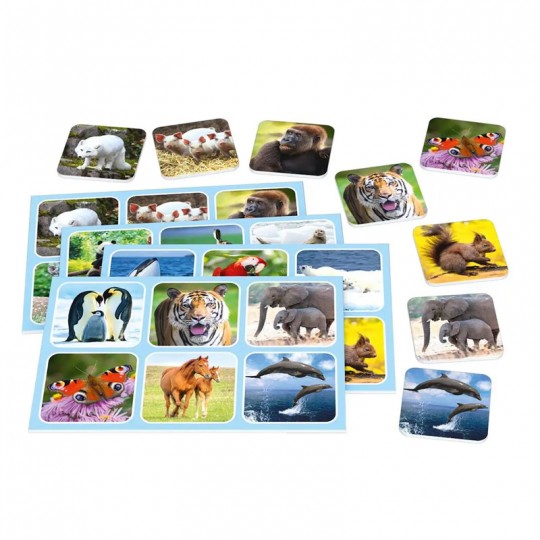 Zoo Lotto - Schmidt Schmidt - 2