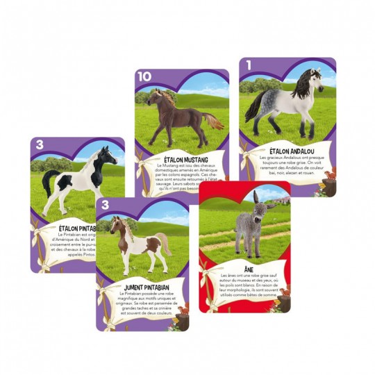 Tandems de chevaux - Schmidt Schmidt - 2