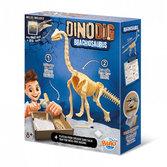 Dino Kit : Brachiosaure - Buki Buki France - 2
