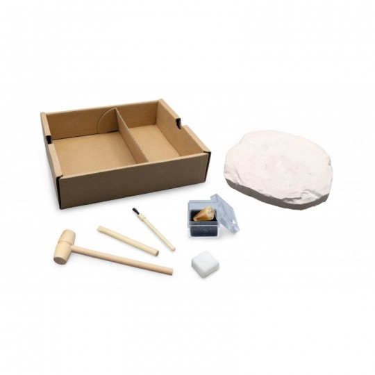 Dino Kit : T-Rex - Buki Buki France - 1