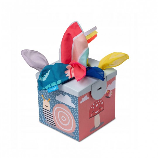 Boite à lingettes - Taf Toys Taf Toys - 1