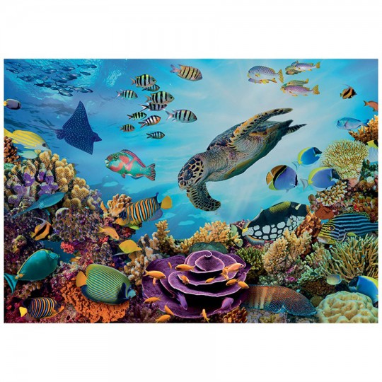 Puzzle 500 pcs XL Fonds Marins - Calypto Calypto - 3