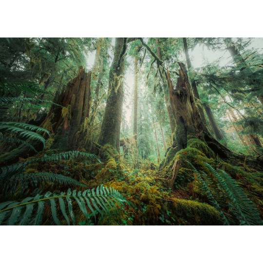 Puzzle 1000 p - En forêt  (Nature edition) Ravensburger - 3