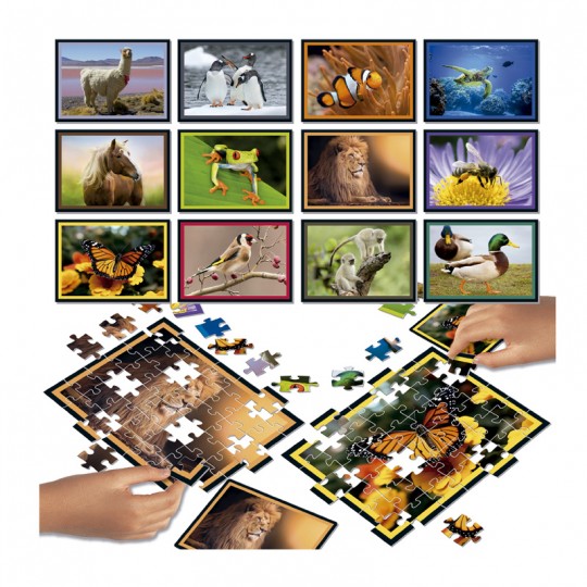 Puzzle Battle 12 x 42 pcs Natura - Educa Educa - 1