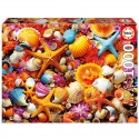 Puzzle 1000 pcs Collage de Coquillages - Educa Educa - 1 Puzzle 1000 pcs Collage de Coquillages - Educa Educa - 1