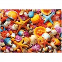 Puzzle 1000 pcs Collage de Coquillages - Educa Educa - 2 Puzzle 1000 pcs Collage de Coquillages - Educa Educa - 2