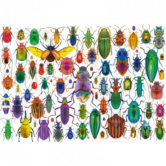Puzzle 500 pcs Les coléoptères - Educa Educa - 2