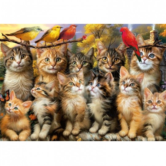 Puzzle 500 pcs Chatons et oiseaux - Educa Educa - 1
