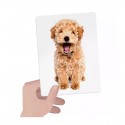 Flashcards Tactile Montessori - Headu Headu - 3 Flashcards Tactile Montessori - Headu Headu - 3