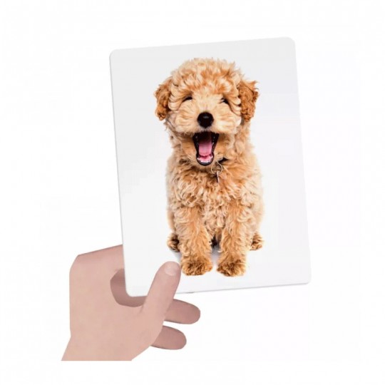 Flashcards Tactile Montessori - Headu Headu - 3