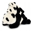 Peluche Panda Bao 32 cm : Dans la Forêt tropicale - Histoire d'Ours Histoire d'Ours - 1 Peluche Panda Bao 32 cm : Dans la Forêt tropicale - Histoire d'Ours Histoire d'Ours - 1