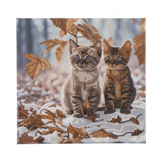 CRYSTAL ART Tableaux à diamanter 30x30cm - Duo de chatons en hiver Crystal Art - 1