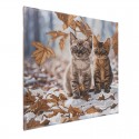 CRYSTAL ART Tableaux à diamanter 30x30cm - Duo de chatons en hiver Crystal Art - 2 CRYSTAL ART Tableaux à diamanter 30x30cm - Duo de chatons en hiver Crystal Art - 2