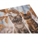 CRYSTAL ART Tableaux à diamanter 30x30cm - Duo de chatons en hiver Crystal Art - 3 CRYSTAL ART Tableaux à diamanter 30x30cm - Duo de chatons en hiver Crystal Art - 3