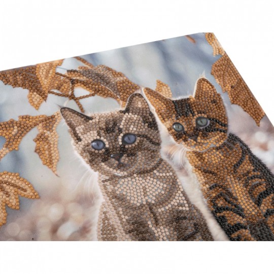 CRYSTAL ART Tableaux à diamanter 30x30cm - Duo de chatons en hiver Crystal Art - 3
