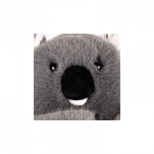 Peluche Koala Podcolle gris lesté 40 cm - Histoire d'Ours Histoire d'Ours - 3