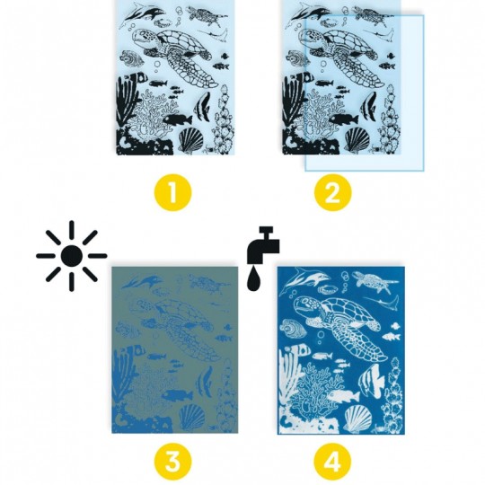 Cyanotype Outremer - Djeco Djeco - 2