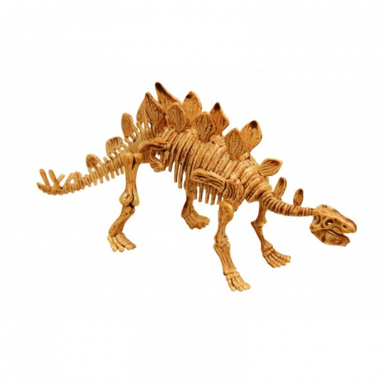 Dino Kit : Stégosaure - Buki Buki France - 2