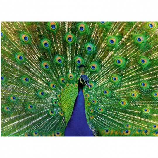 Puzzle Colorful Animals 500 pcs Paon - Ravensburger Ravensburger - 2