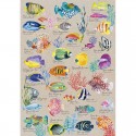 Puzzle 500 pcs Poissons Exotiques - Calypto Calypto - 2 Puzzle 500 pcs Poissons Exotiques - Calypto Calypto - 2