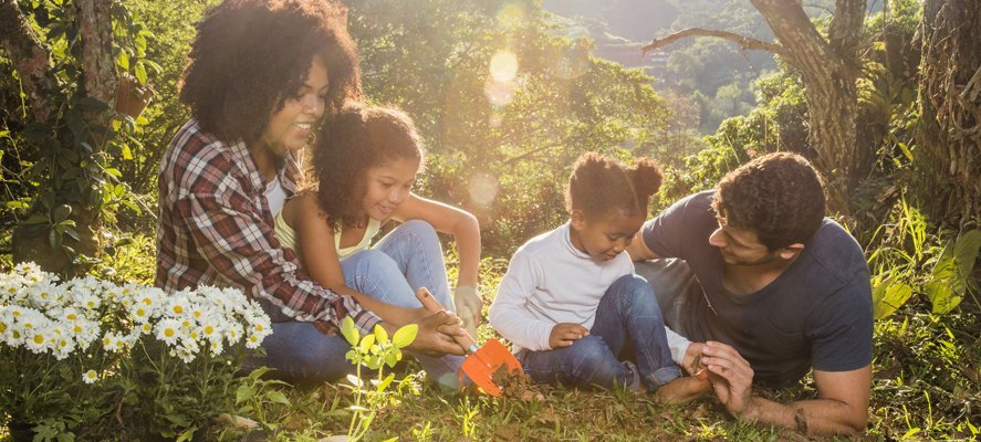 Jardin de famille