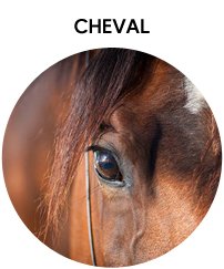 Cheval