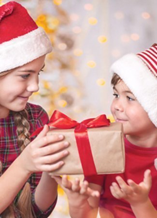 Idée cadeau pour Noël : jeux de société, puzzles, jouets éducatifs et loisirs créatifs pour toute la famille.