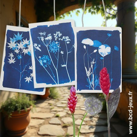 Le Cyanotype - Sentosphère