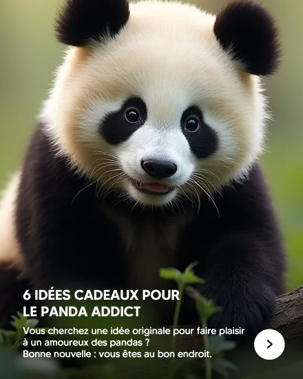 Cadeaux Panda