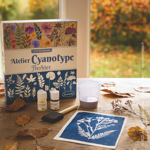 Atelier Cyanotype Herbier – Sentosphère