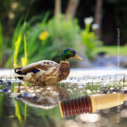 Appeau Canard Colvert (à soufflet)