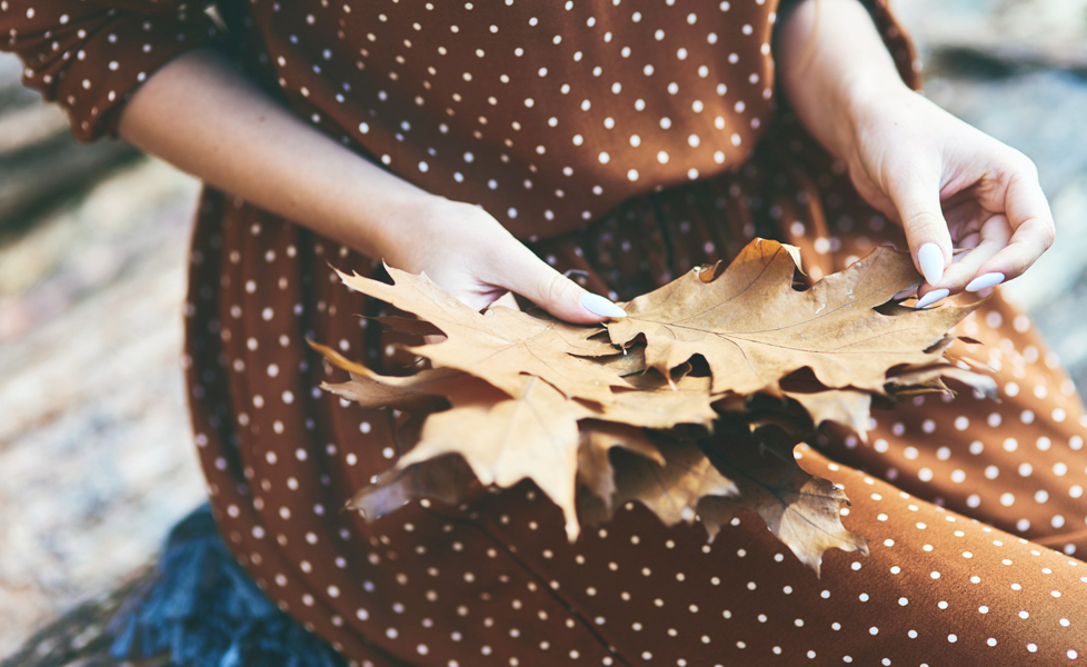 Activités à faire en automne