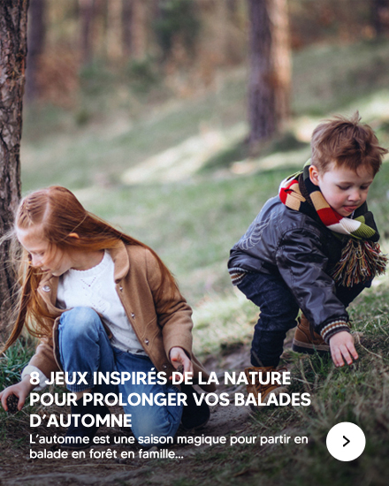 Activités nature pendant une ballade en forêt