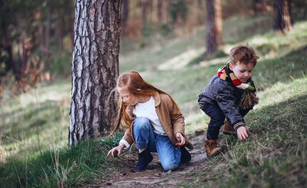 Des enfants jouent à observer la nature lors d'une ballade en forêt