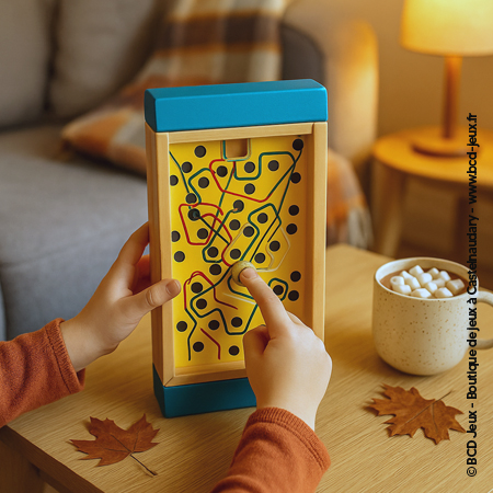 L’Habilrinthe – Jeu d’adresse et de patience Vilac